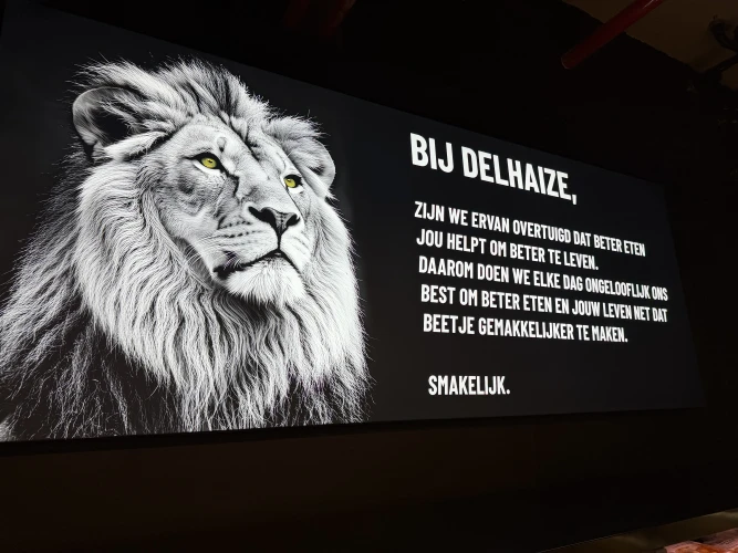 Delhaize Antwerpen